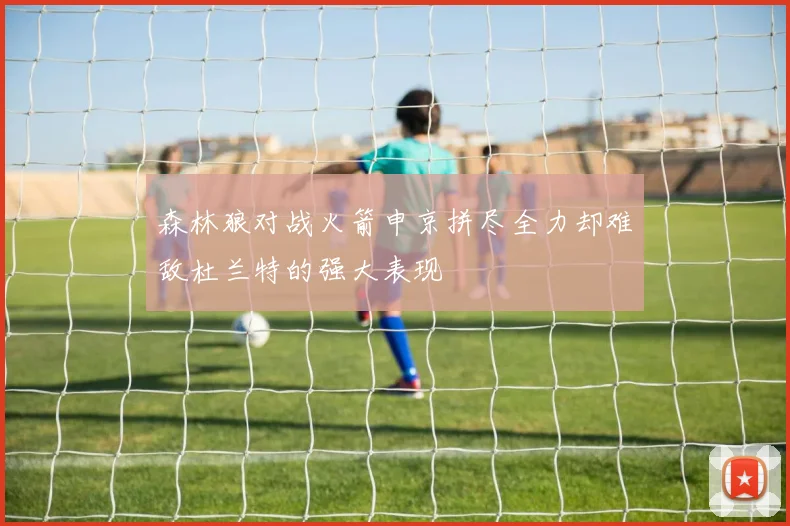 森林狼对战火箭申京拼尽全力却难敌杜兰特的强大表现